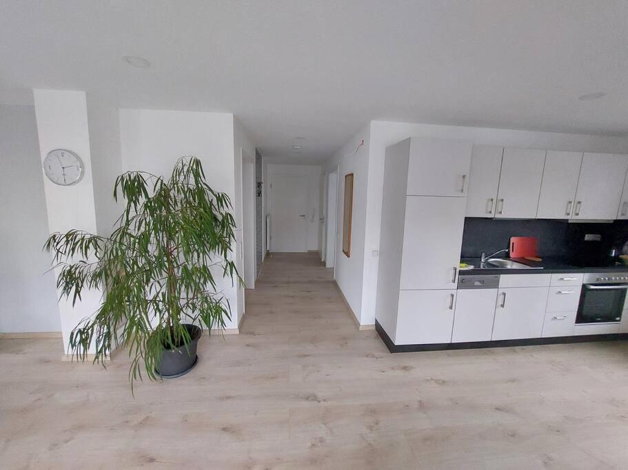 Ferienwohnung Koenigsquelle Bad Wildungen Exterior foto